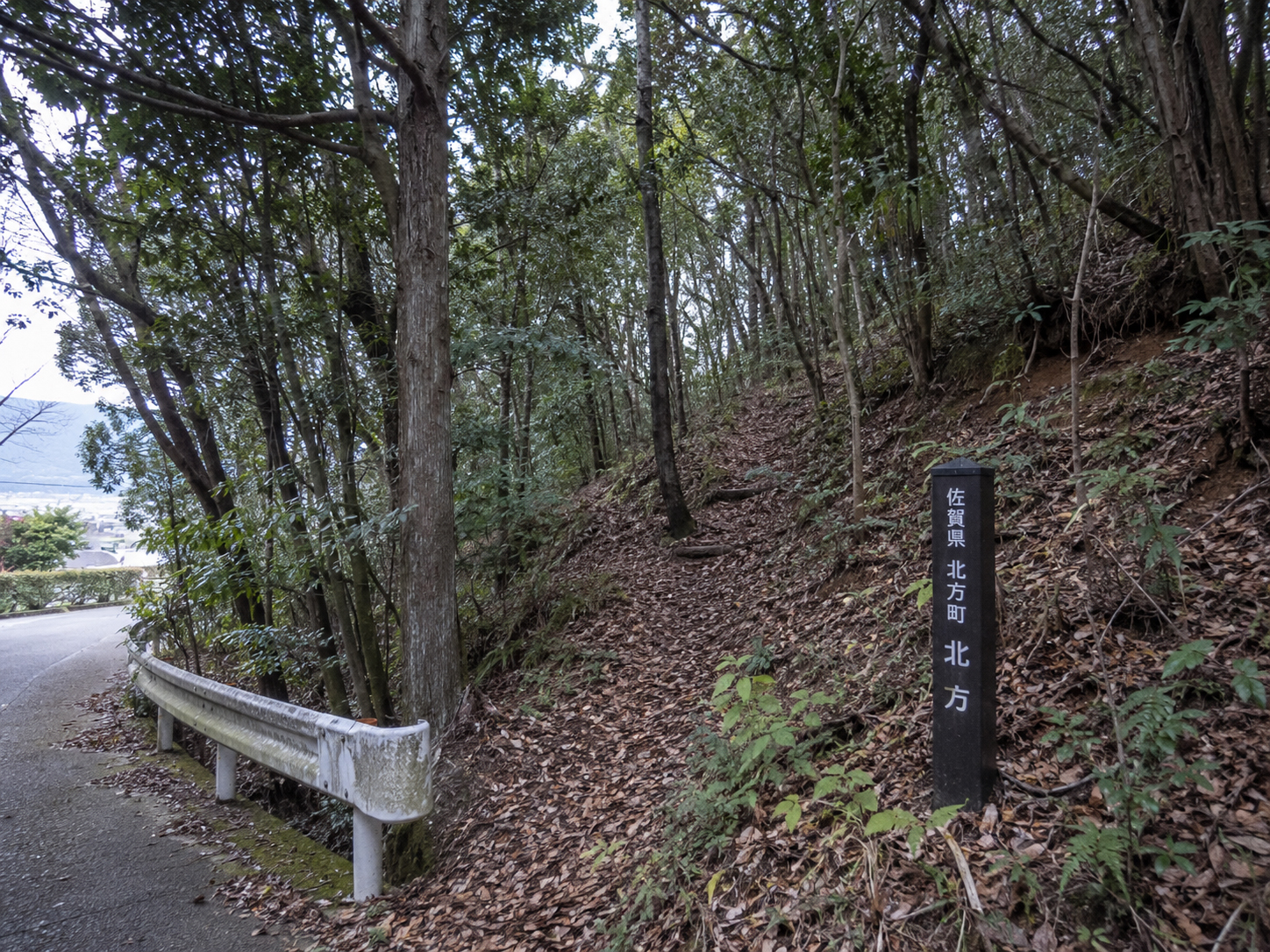 北方の山林・道路脇の文脈。遺体発見の記録はあるが、画像化は常に非グラフィックに留める。